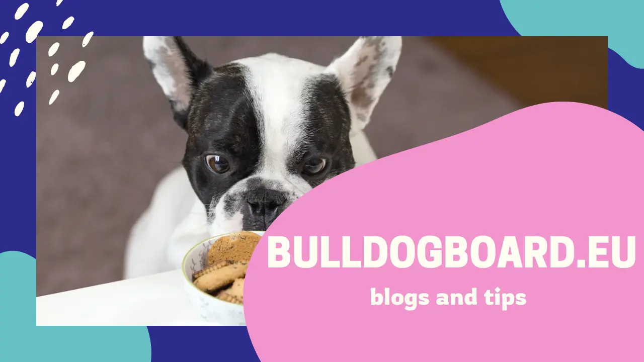 Bulldog Board